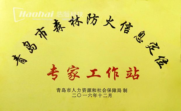 青島市森林防火信息定位專家工作站-修改-620